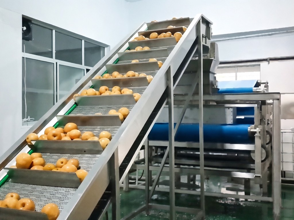 博宇环保-梨汁压榨生产线