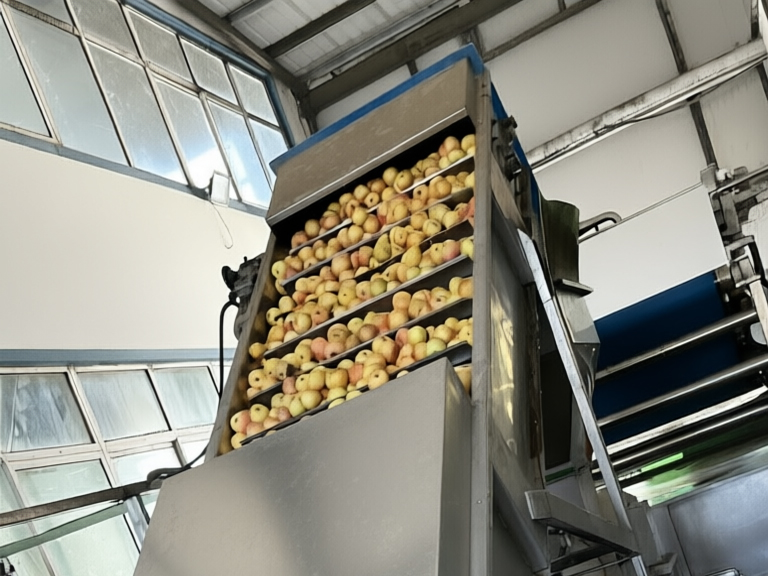 博宇环保-水果压榨生产线